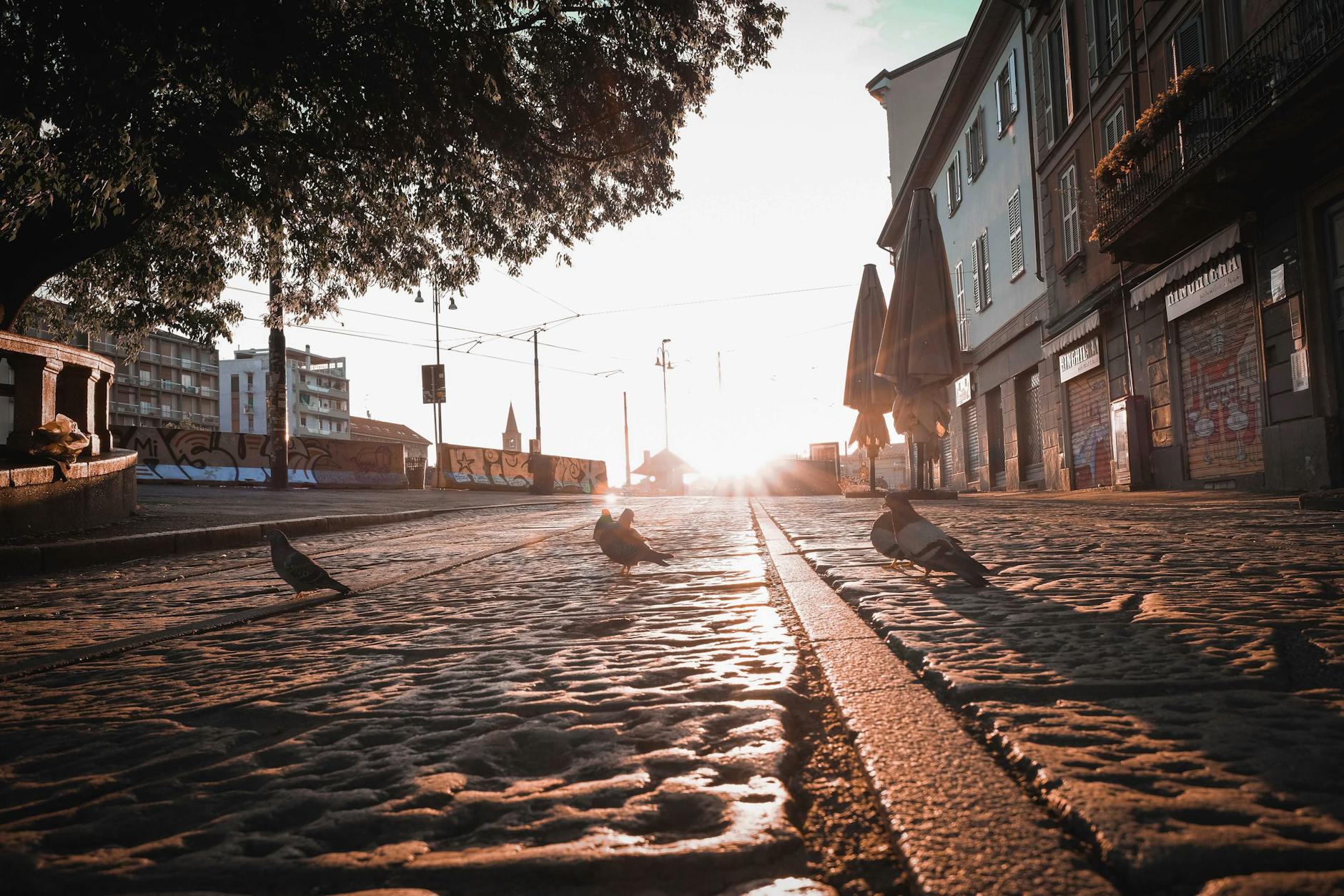 Brera neighborhood in Milan with charming cobblestone streets and cafes