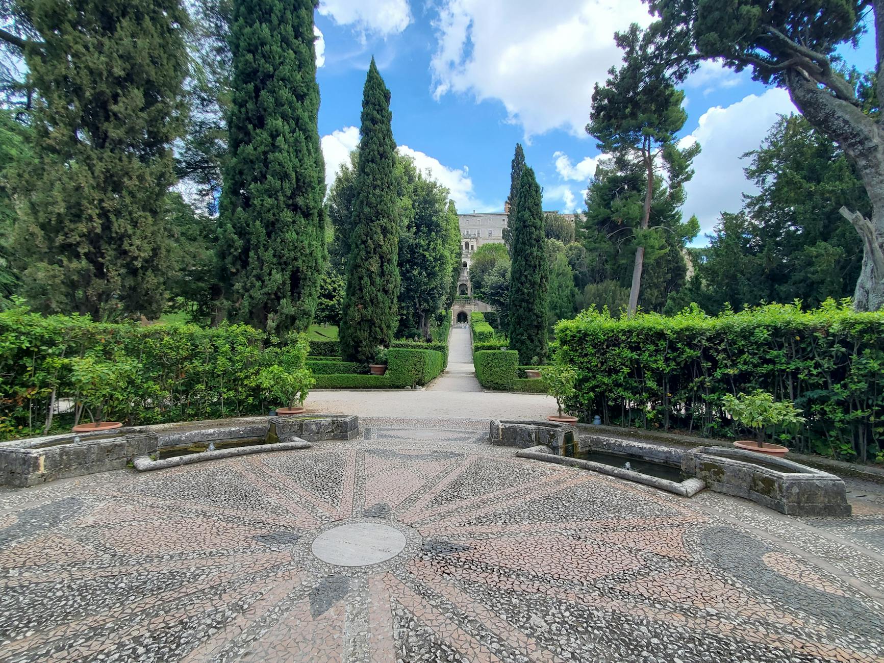 Orto Botanico di Brera garden trees