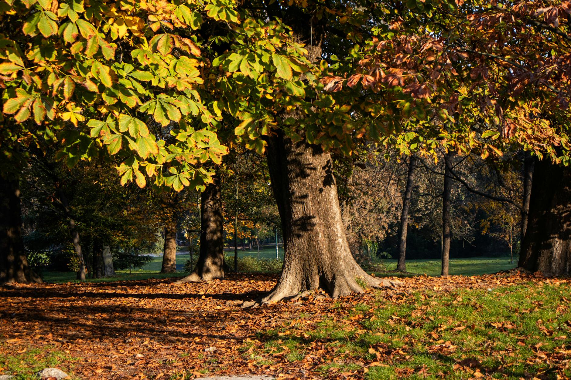 Parco Lambro green space Milan east