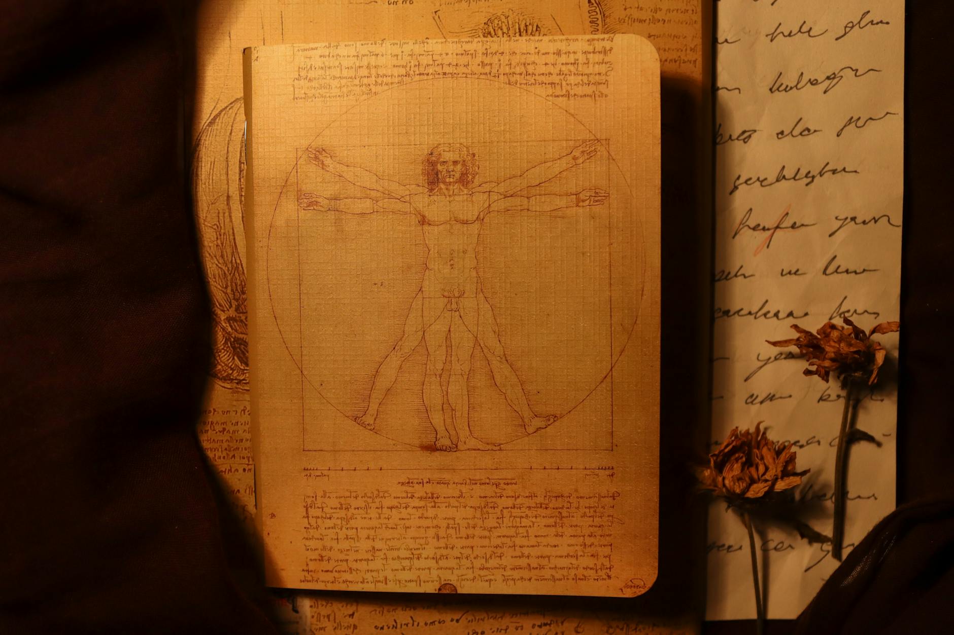 Leonardo da Vinci sketch invention notebook drawing